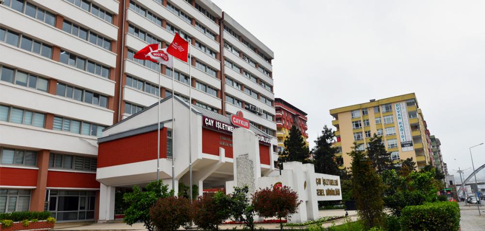 ÇAYKUR 2024'te de Kârını Artırdı: Tasarruf Politikası Başarı Getirdi