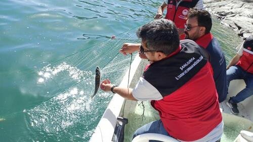 Şanlıurfa Dahil 7 İl'de Balıkçılık Denetimi! Kurallara Uymayana Ceza Yağdı