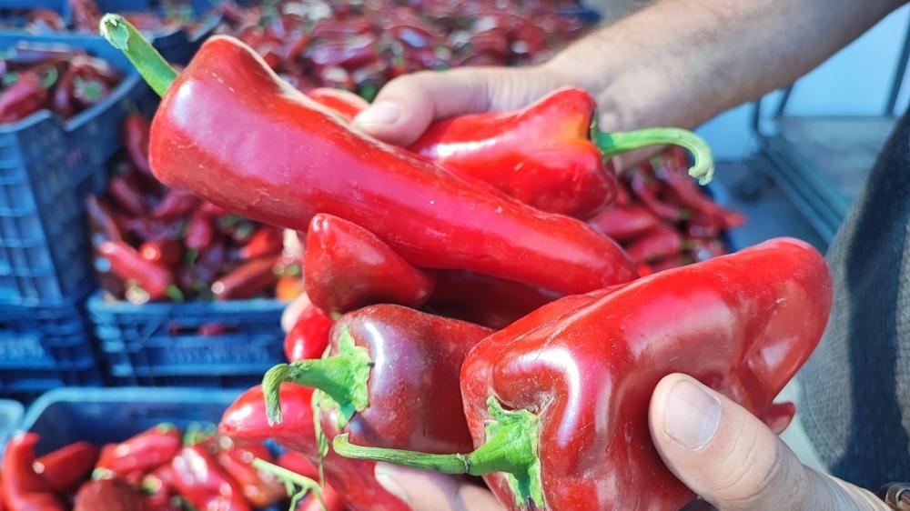 Adana Pazarında Gramaj Hilesi: Salçalık Biber Alırken Dikkat!